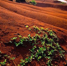 《最后的生还者》第一人称视角MOD效果演示视频